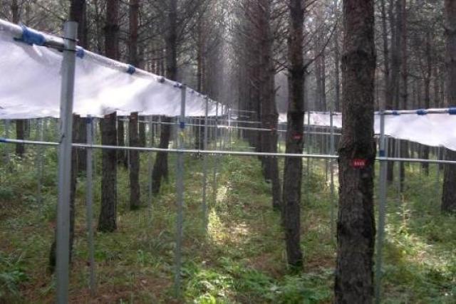 20201231160939577685003121.jpg 6.jpg