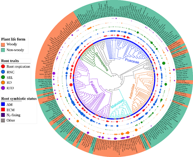 20201021160324021907203686.png 11-wenzh.png